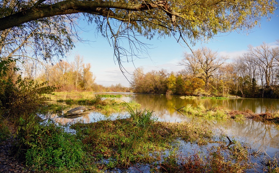 See der Donau auf einer Radreise